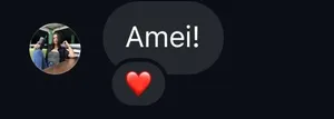 Mensagem de cliente satisfeita com o trabalho da Ariel 7